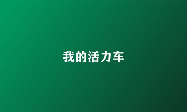 我的活力车