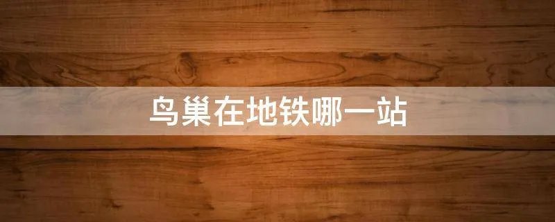 鸟巢在地铁哪一站
