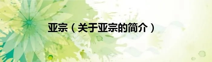 亚宗（关于亚宗的简介）