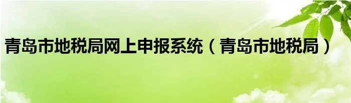 青岛市地税局网上申报系统（青岛市地税局）