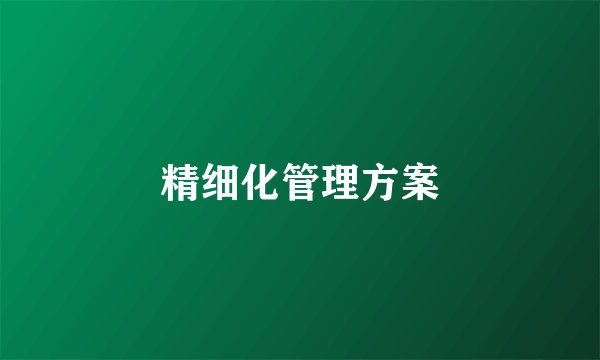 精细化管理方案