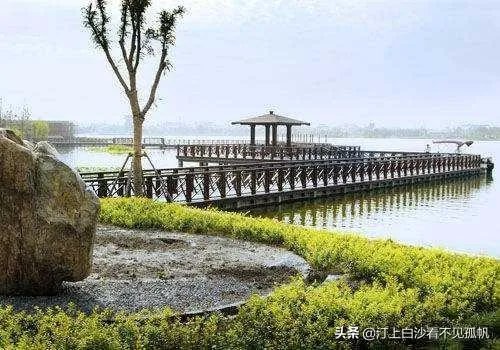 如果哈尔滨的疫情结束,大家第一时间想去的地方是哪里呢?