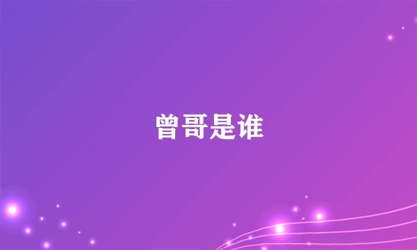 曾哥是谁