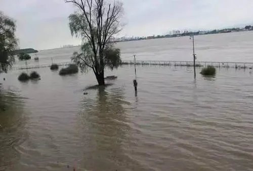 受降雨影响秦淮河洪水发出橙色预警,橙色预警是什么意思?