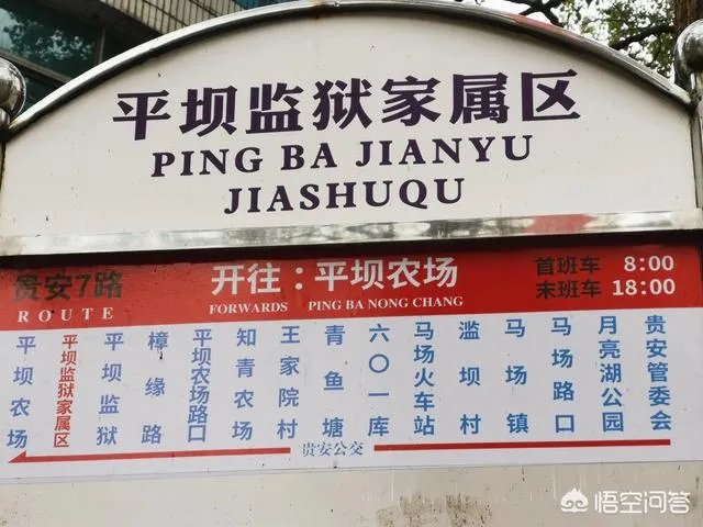 贵州平坝万亩樱花绽放,美爆了这个春天,有去过的吗?有旅游攻略路线吗?