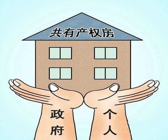 什么叫小产权房子