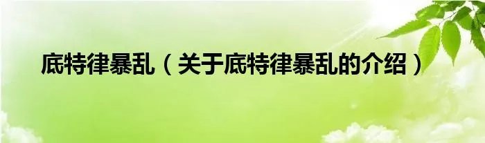 底特律暴乱（关于底特律暴乱的介绍）