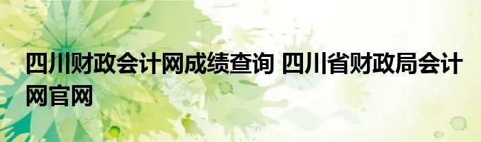 四川财政会计网成绩查询 四川省财政局会计网官网