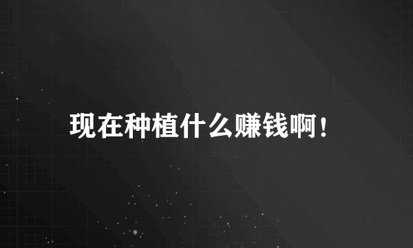 现在种植什么赚钱啊！