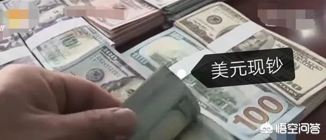 上海一公交车司机捡到10万美金,最终找到失主是一名有精神病史的老人,这事你怎么看?