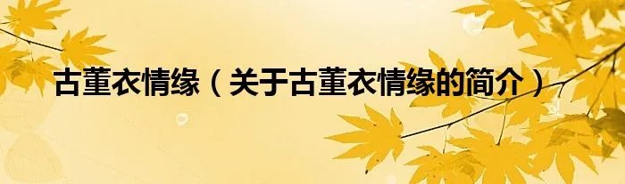 古董衣情缘（关于古董衣情缘的简介）
