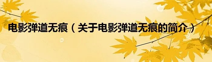 电影弹道无痕（关于电影弹道无痕的简介）