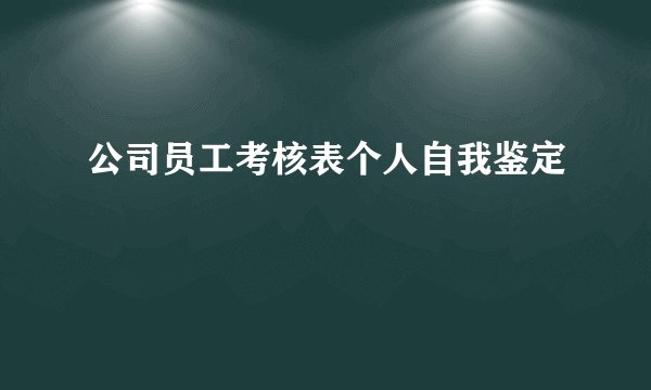 公司员工考核表个人自我鉴定