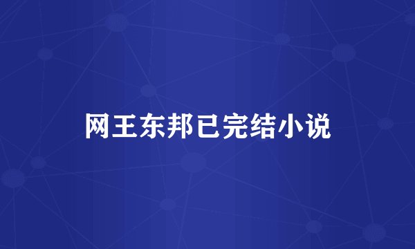 网王东邦已完结小说