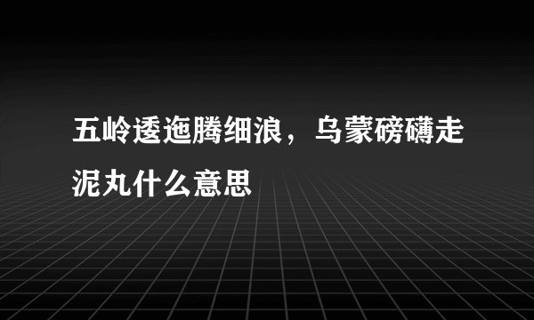五岭逶迤腾细浪，乌蒙磅礴走泥丸什么意思