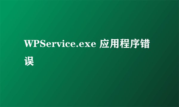 WPService.exe 应用程序错误