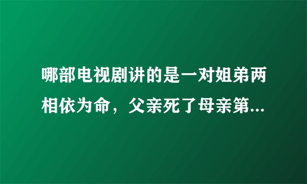哪部电视剧讲的是一对姐弟两相依为命，父亲死了母亲第一次改嫁给一个手术室的主刀，第二次嫁给一个开货