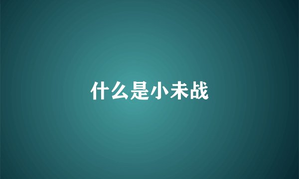 什么是小未战