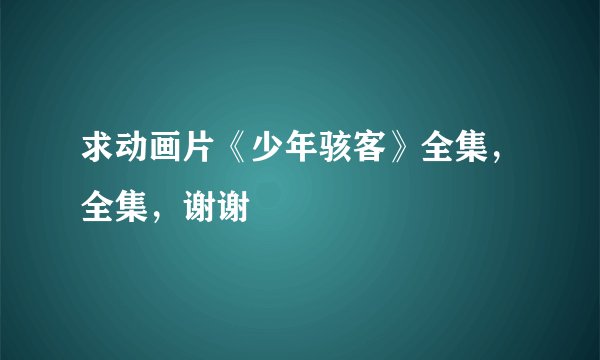 求动画片《少年骇客》全集，全集，谢谢