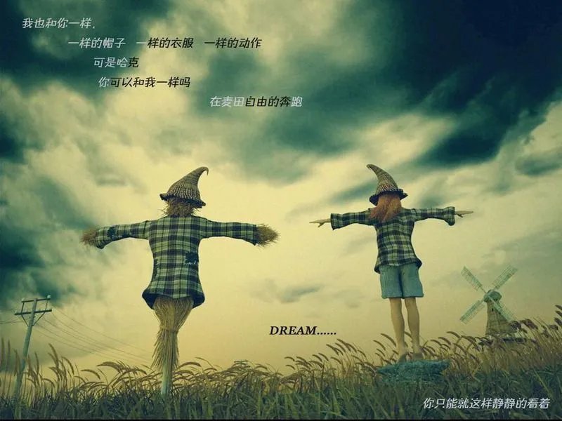 求好看的非主流图片,不要人物的!