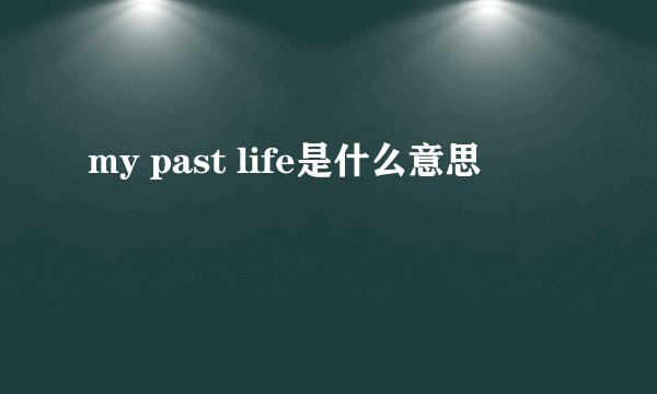 my past life是什么意思
