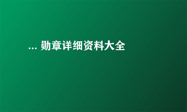  ... 勋章详细资料大全