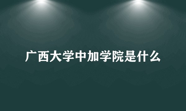 广西大学中加学院是什么