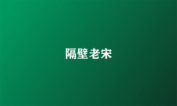隔壁老宋