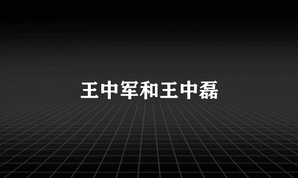 王中军和王中磊