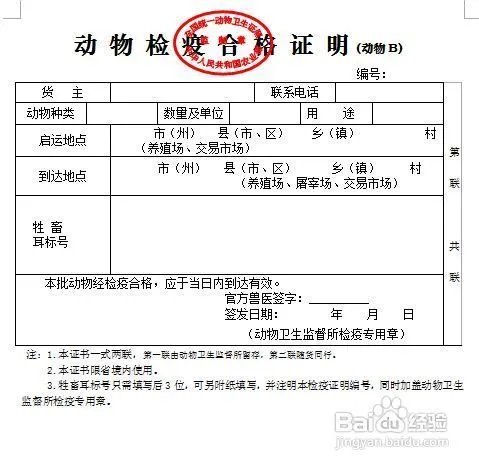 北京宠物空运