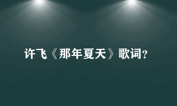 许飞《那年夏天》歌词？
