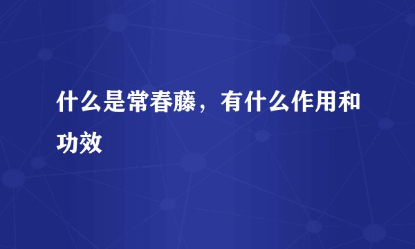 什么是常春藤,有什么作用和功效