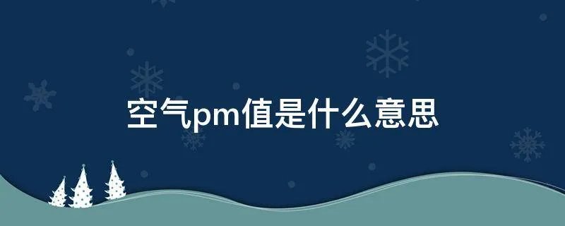 空气pm值是什么意思