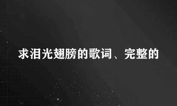 求泪光翅膀的歌词、完整的