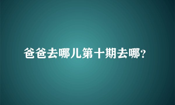 爸爸去哪儿第十期去哪？