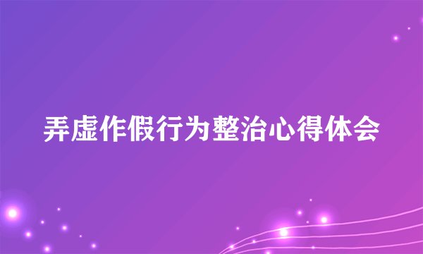 弄虚作假行为整治心得体会