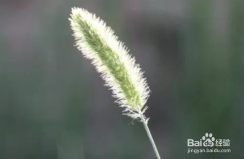 女生如何创业