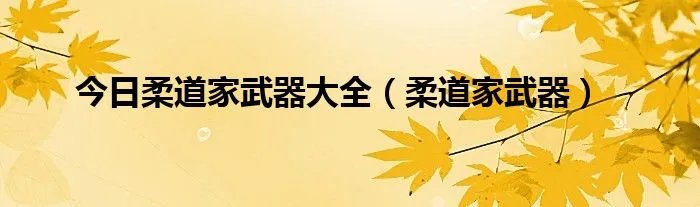 今日柔道家武器大全(柔道家武器)