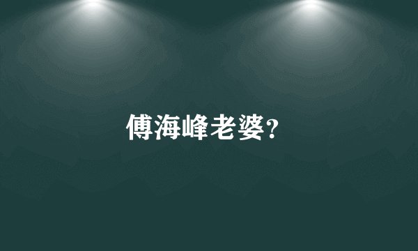 傅海峰老婆？