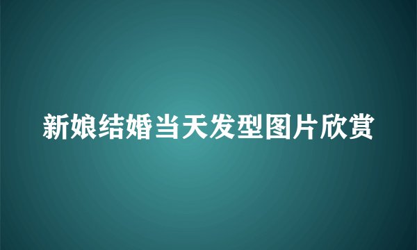 新娘结婚当天发型图片欣赏