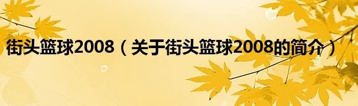 街头篮球2008（关于街头篮球2008的简介）