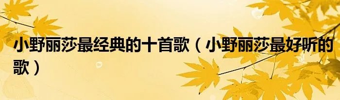 小野丽莎最经典的十首歌（小野丽莎最好听的歌）