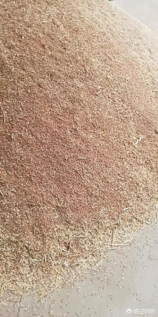 麦子折秤