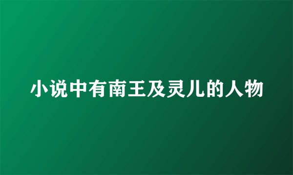 小说中有南王及灵儿的人物