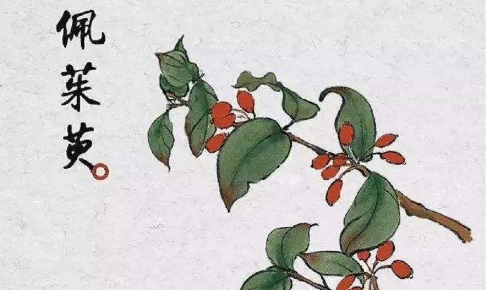 辟邪翁的别名
