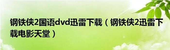 钢铁侠2国语dvd迅雷下载（钢铁侠2迅雷下载电影天堂）