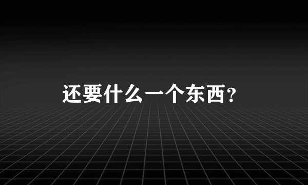 还要什么一个东西？