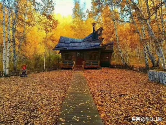 为什么有人建议旅游的时候不要住民宿?