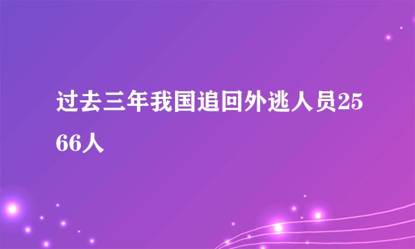 过去三年我国追回外逃人员2566人