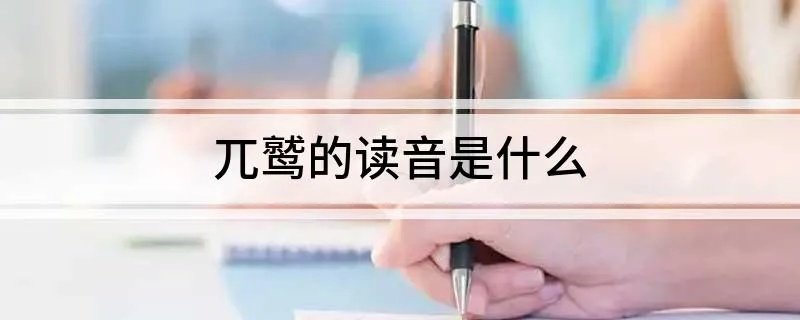 兀鹫的读音是什么